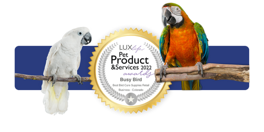 Busy Bird Creations Spinner Medium Puzzle Parrot Toy