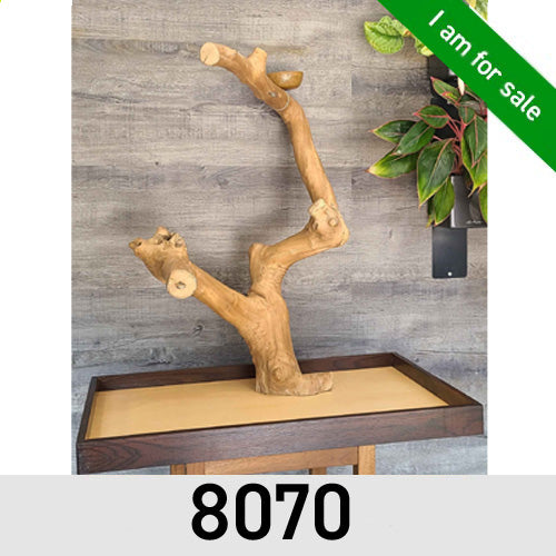A&E Enrichment Java Wood Table Top Stand - In Stock
