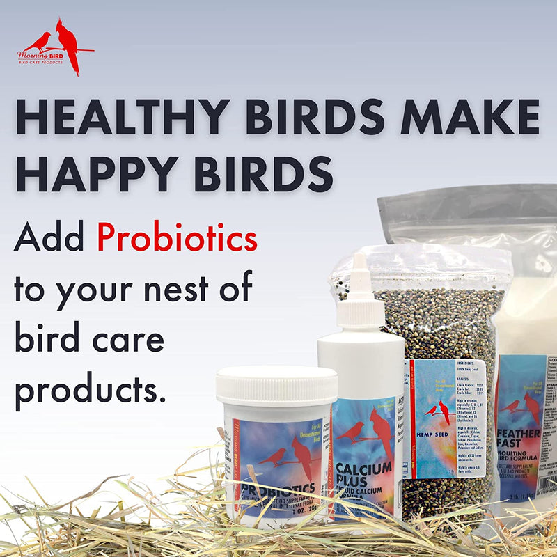 Morning Bird Probiotics Live Microbial Food Supplement - 1 oz | 3 oz
