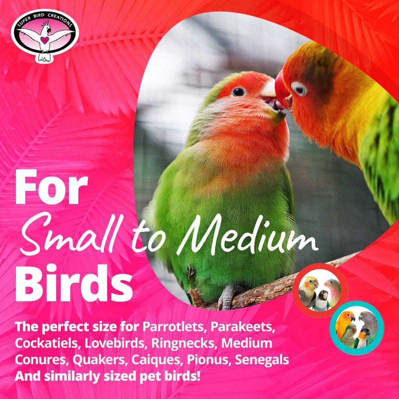 Binky Bop Bird Enrichment Toy - SB1083
