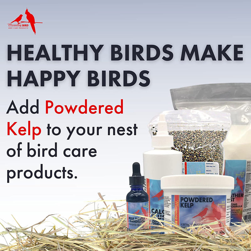 Powdered Kelp Iodine Supplement
