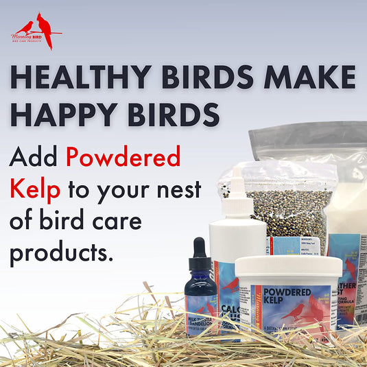 Powdered Kelp Iodine Supplement