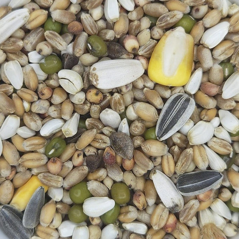 Soak and Sprout Seed for All Parrots - P72
