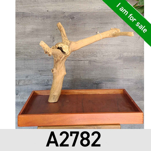 A&E Enrichment Java Wood Table Top Stand - In Stock