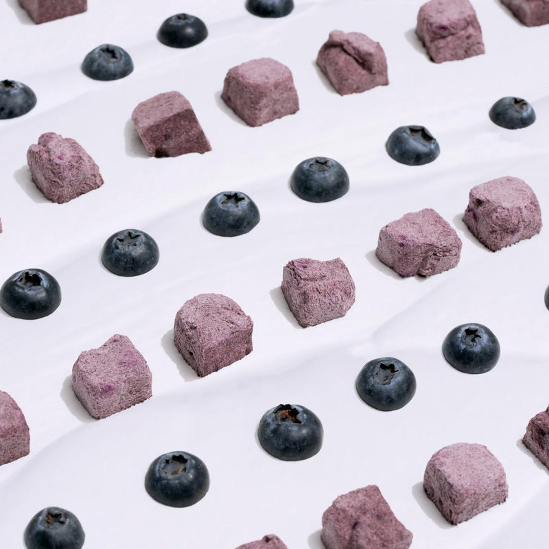 ANYTIME YOGURT! Freeze-Dried Blueberry & Greek Yogurt Dog Treat - 2 oz
