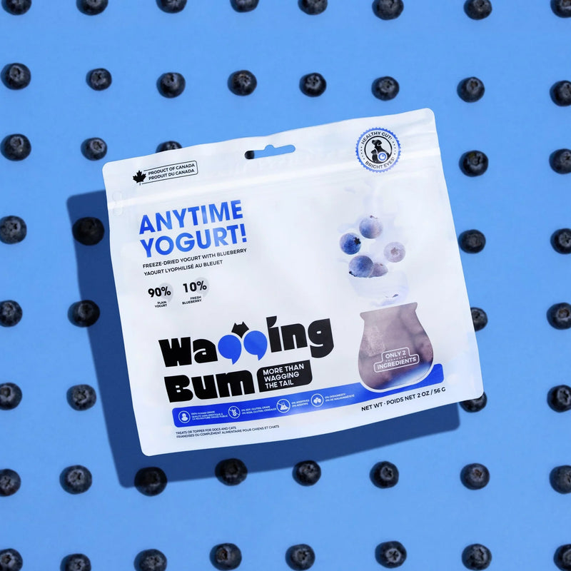 ANYTIME YOGURT! Freeze-Dried Blueberry & Greek Yogurt Dog Treat - 2 oz
