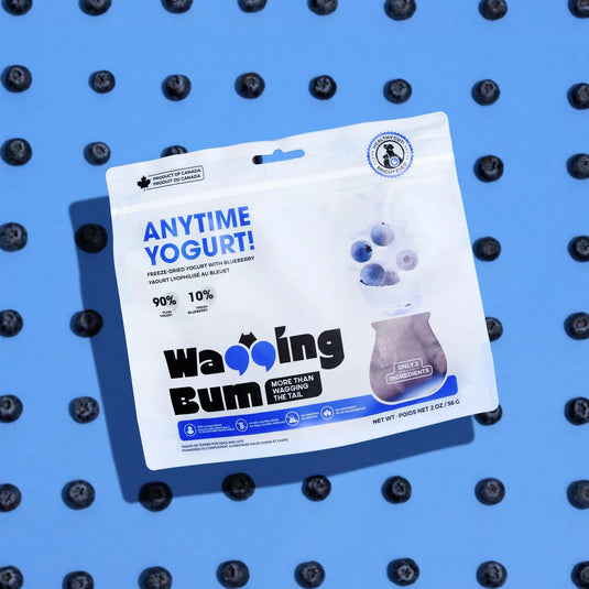 ANYTIME YOGURT! Freeze-Dried Blueberry & Greek Yogurt Dog Treat - 2 oz
