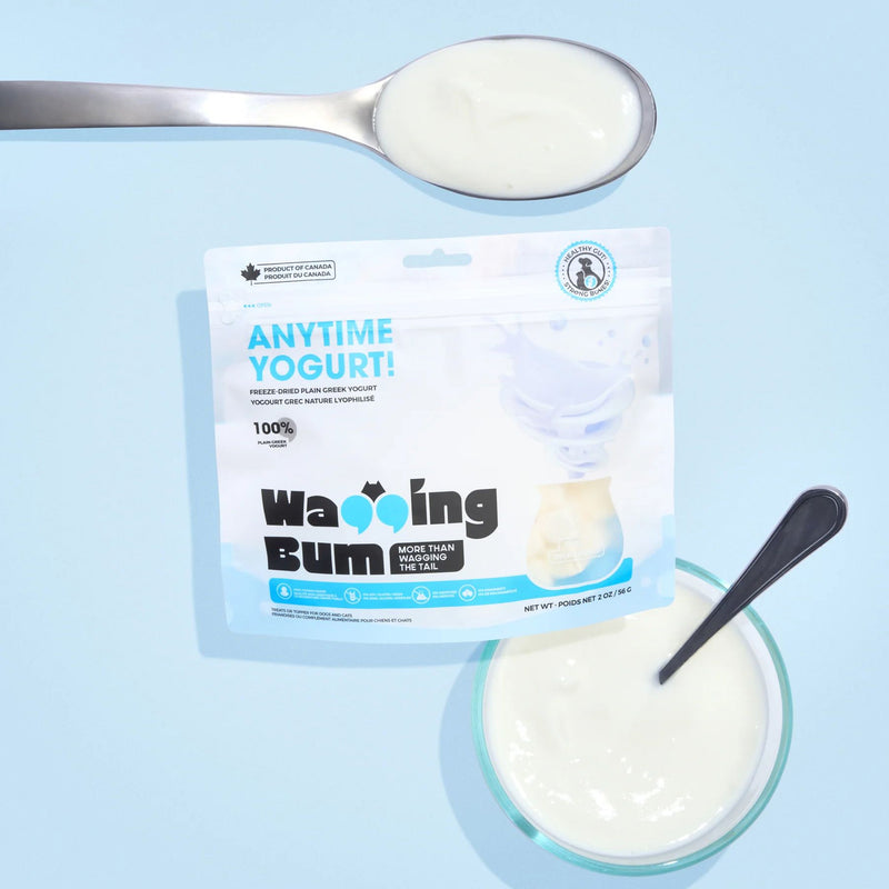 ANYTIME YOGURT! Freeze-Dried Plain Greek Yogurt Dog Treat - 2 oz
