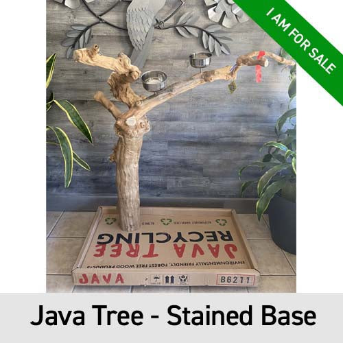 A&E Enrichment Java Wood Floor Stand - In Stock