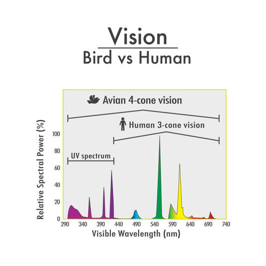 HARI Compact Fluorescent Avian Light UVA/UVB - 26 W Good for All Birds - 85000