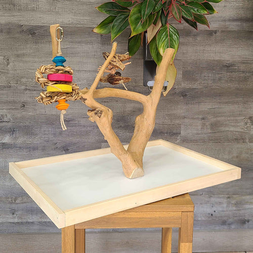 Billy Bird Java Wood Table Top Play Stand - 5000 🍁