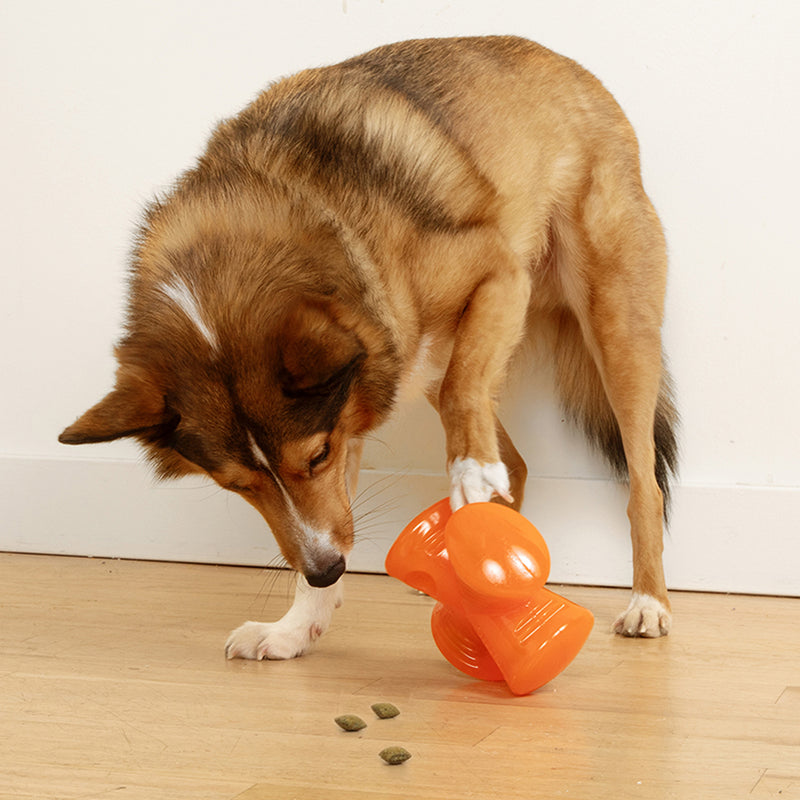 Stuffer - Ultra-Durable Dog Treat-Toy
