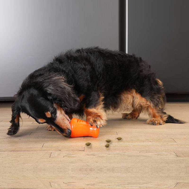 Treat Shaker - Ultra-Durable Dog Treat-Toy
