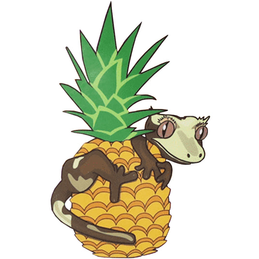 Blue River Diets Pineapple Crush Flavour Gecko Food