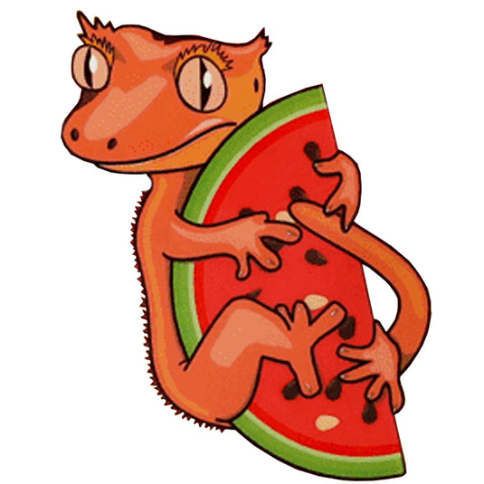 Blue River Diets Watermelon Burst Flavour Gecko Food