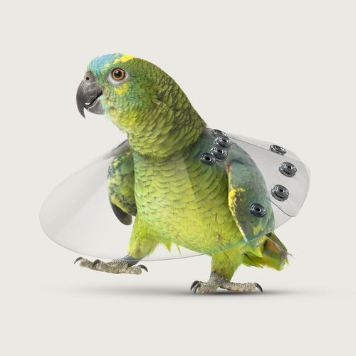 Kong Veterinary Products Bird Saf-T-Shield