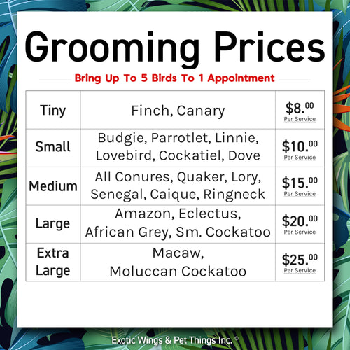 Bird Grooming Appointments