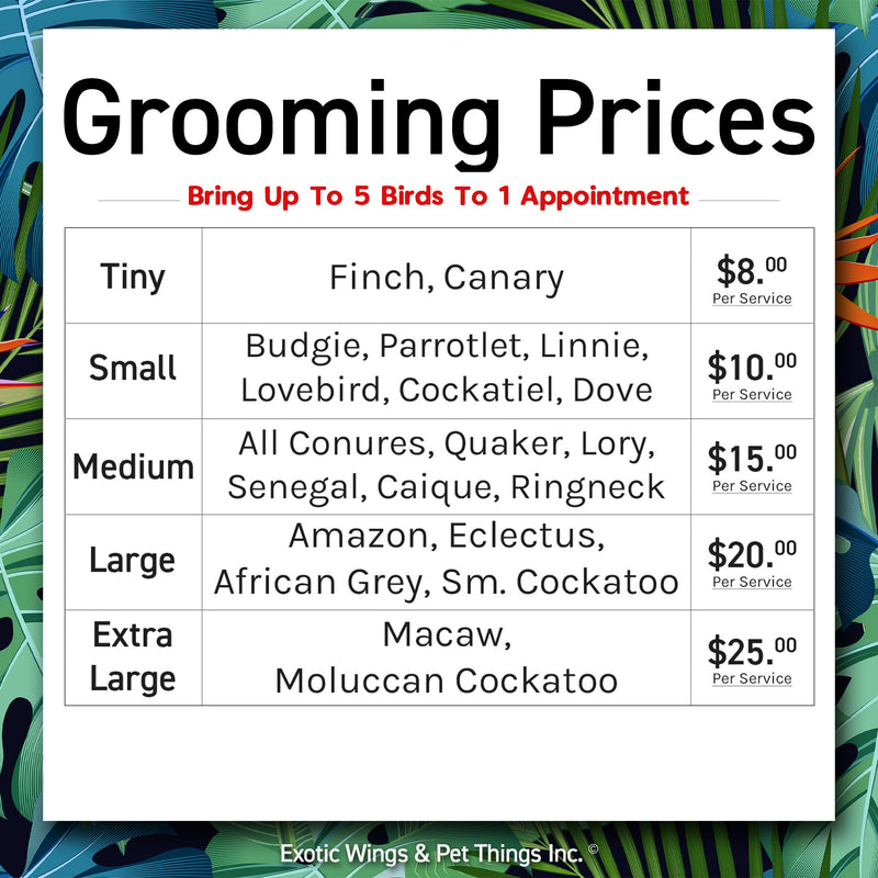 Bird Grooming Appointments
