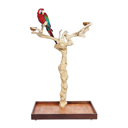 Parrot sales stand wood
