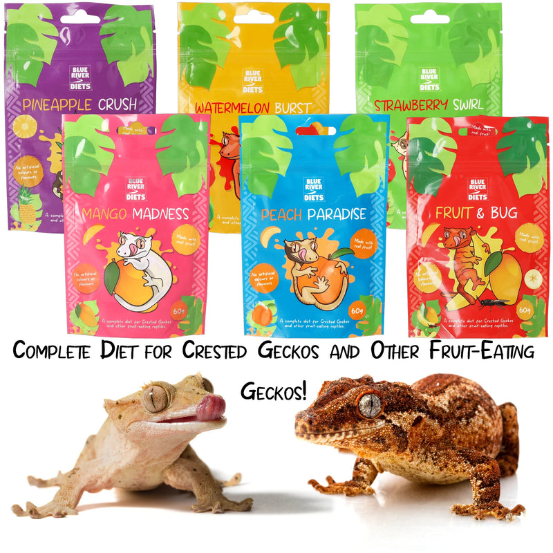 Load image into Gallery viewer, Blue River Diets Fruit &amp; Bug Flavour Gecko Food
