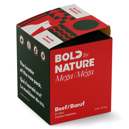 Bold By Nature Mega Raw Dog Food - Beef Patties