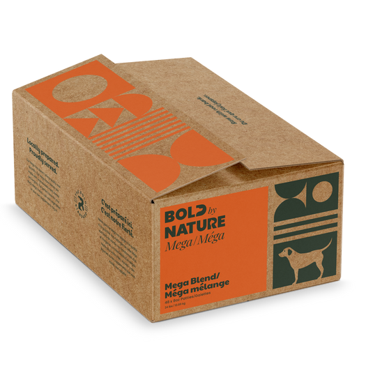 Cardboard box with orange and green design on a white background