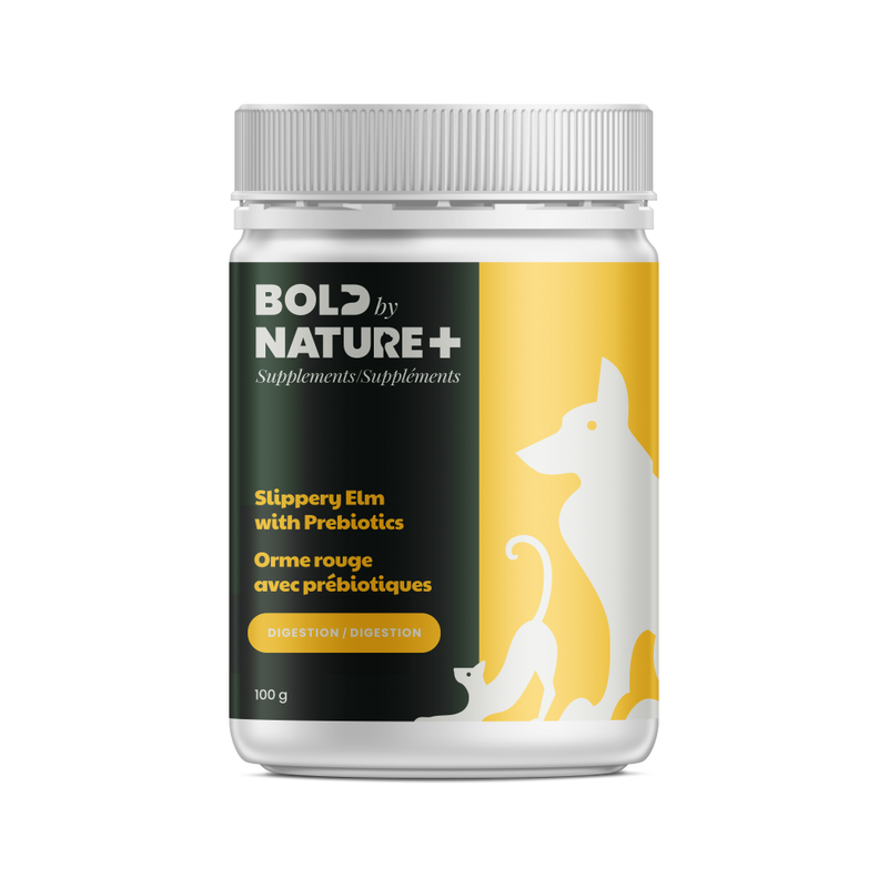 Load image into Gallery viewer, Supplement jar labeled &#39;Bold by Nature+&#39; with a dog illustration on a white background
