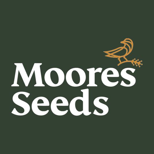 Moores Seeds logo with a stylized bird on a dark green background
