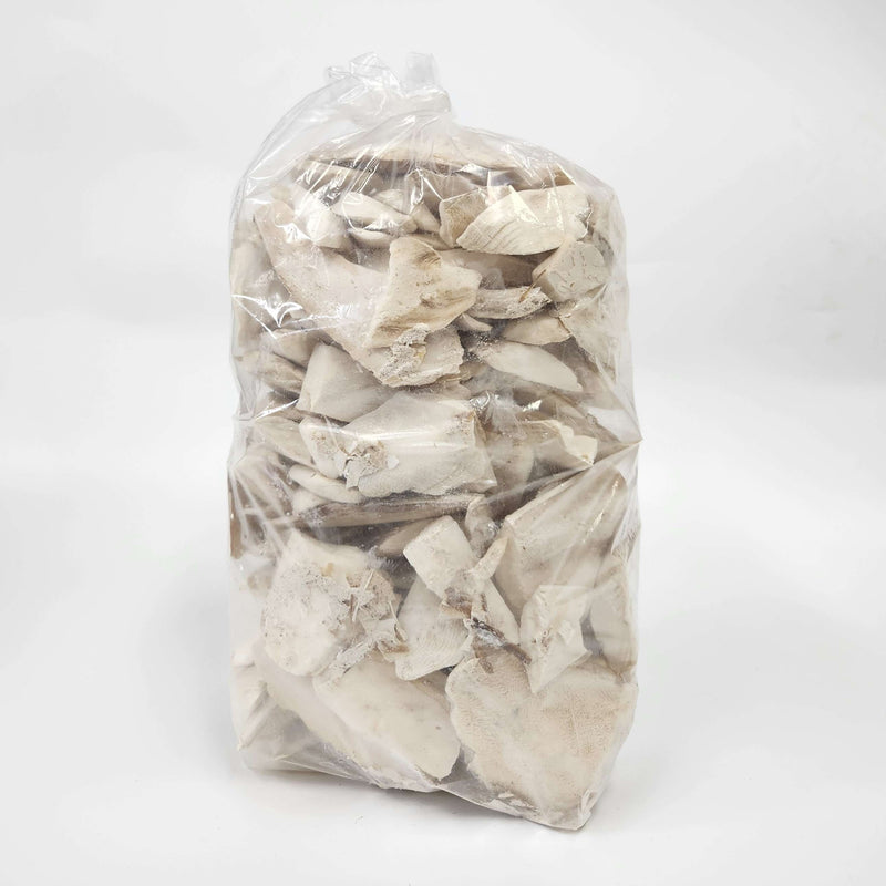 Cuttlebone Assorted & Broken Pieces - Unbleached / Unprocessed
