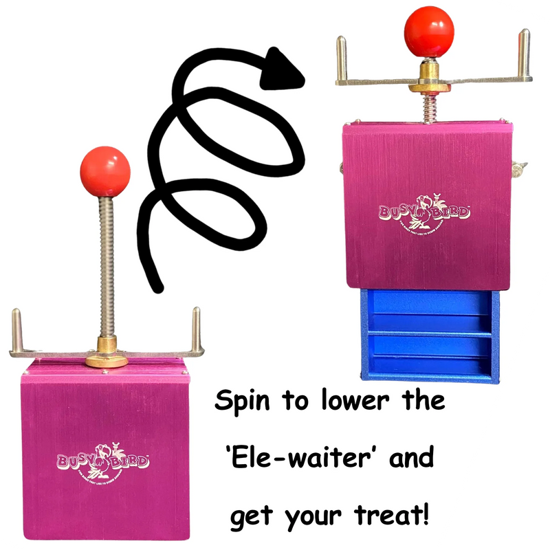 Load image into Gallery viewer, Busy Bird Creations Ele-waiter Aluminum/Stainless Steel Large Bird Puzzle Toy
