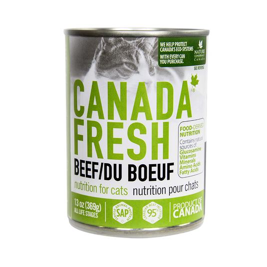 Canada Fresh Beef Pate Wet Cat Food 🍁