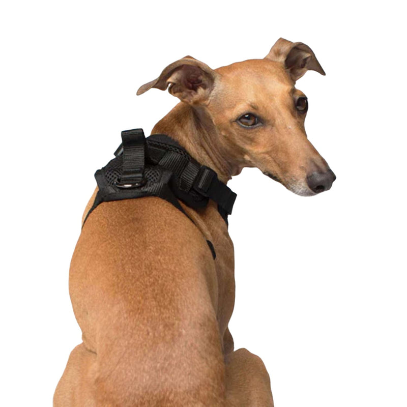 Canada Pooch Everything Harness - Large 🍁
