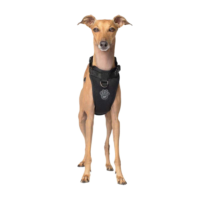 Canada Pooch Everything Harness - Large 🍁

