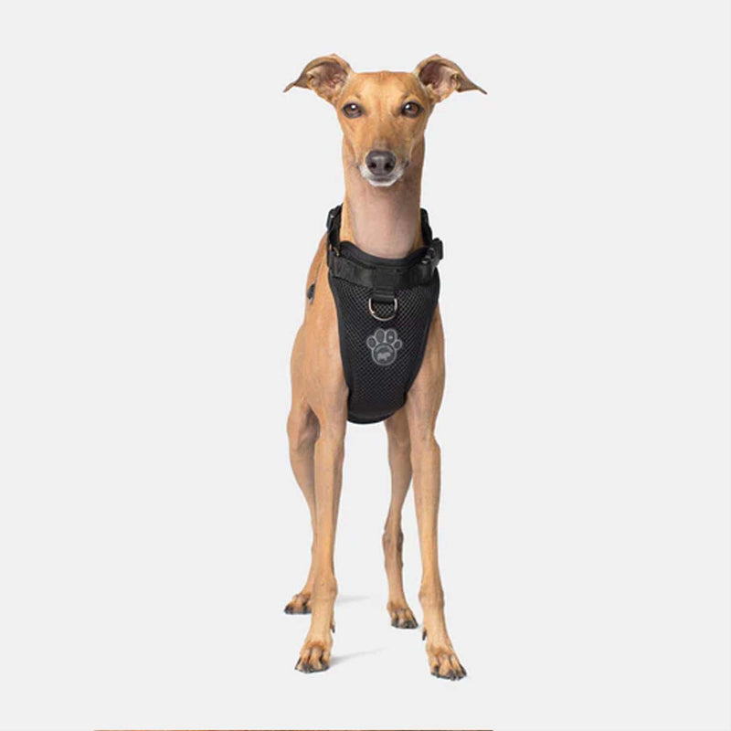 Canada Pooch Everything Harness - Large