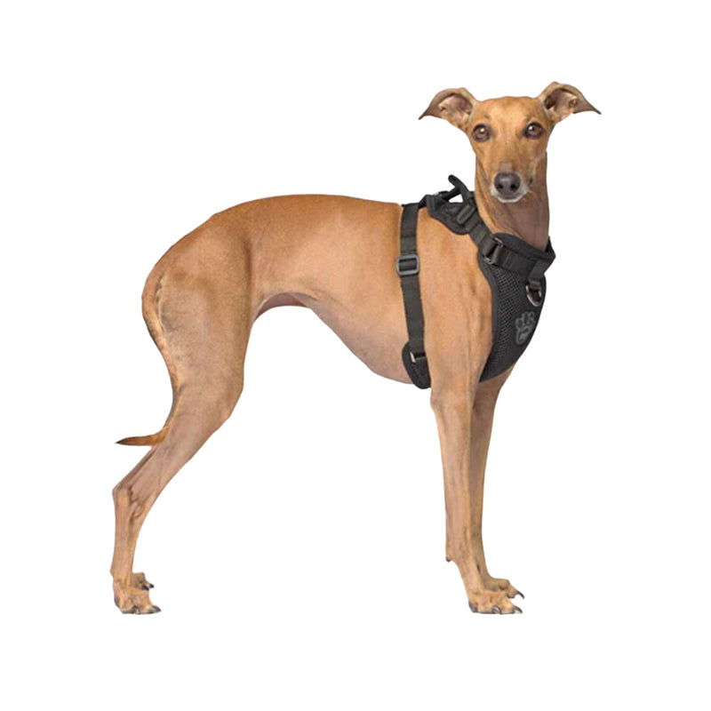 Canada Pooch Everything Harness - Large 🍁
