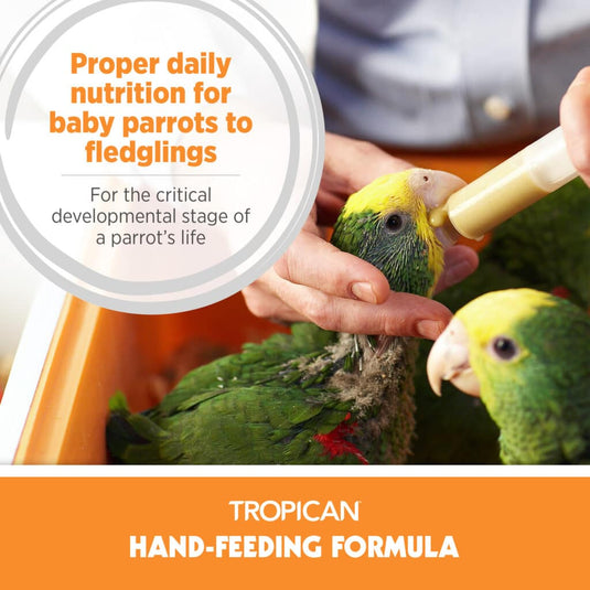 Tropican Hand-Feeding Formula - All Birds 🍁