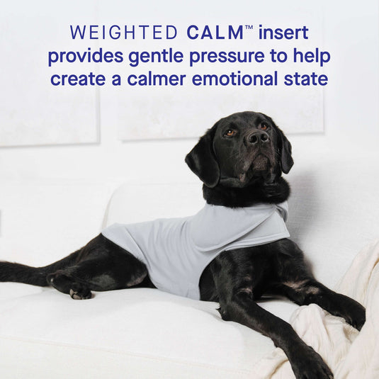 Calming Weighted Vest for Dogs 🍁