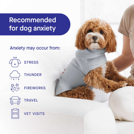 Calming Weighted Vest for Dogs l Sizes For All Dogs Available Exotic Wings and Pet Things Inc