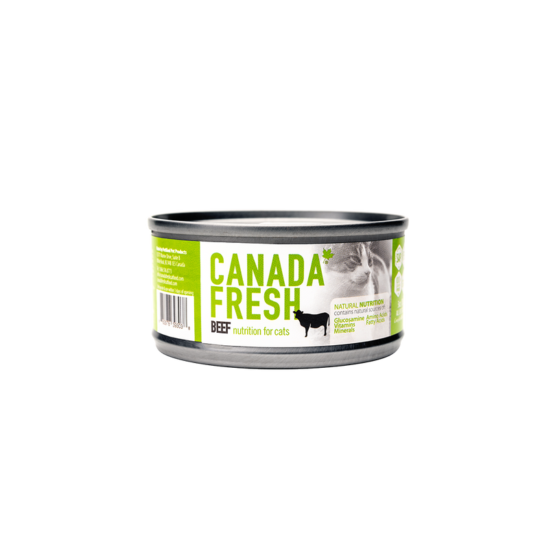 Canada Fresh Beef Pate Wet Cat Food 🍁
