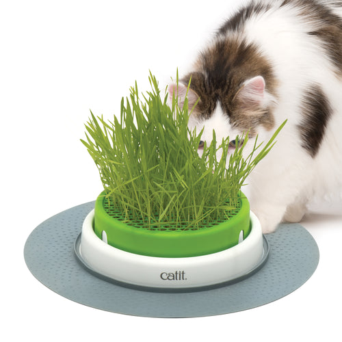 CatIt Senses 2.0 Grass Planter & Grass Seed Kit
