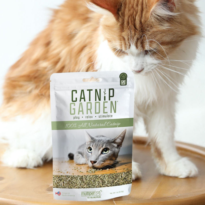 Load image into Gallery viewer, Catnip Garden cat food package with a cat in the background
