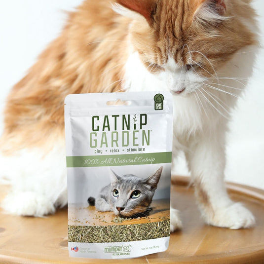Catnip Garden cat food package with a cat in the background