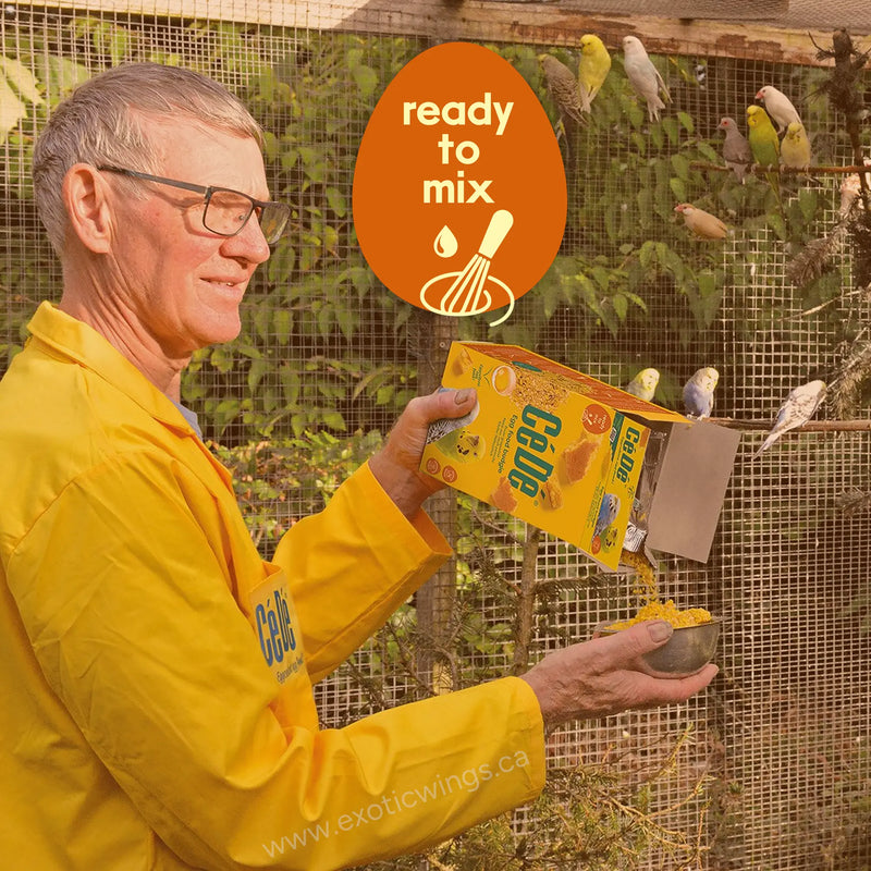 Load image into Gallery viewer, Man in yellow jacket holding a box of bird food with birds in the background
