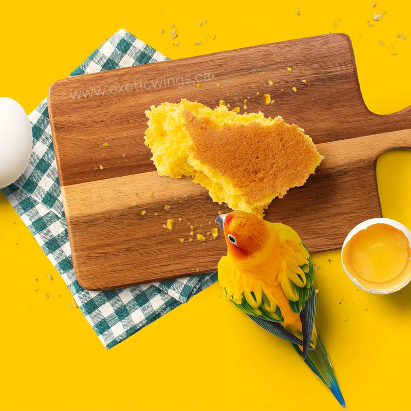 Load image into Gallery viewer, Bird perched on a wooden cutting board with yellow cake and a bowl of egg yoke on yellow background.
