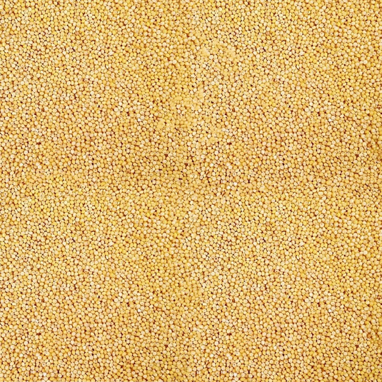 White Millet by Conestogo Bird Seed Company 22.7 kg - Exotic Wings and Pet Things