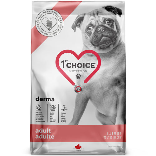 1st Choice Derma Adult Dog Food - Salmon Sample 🍁