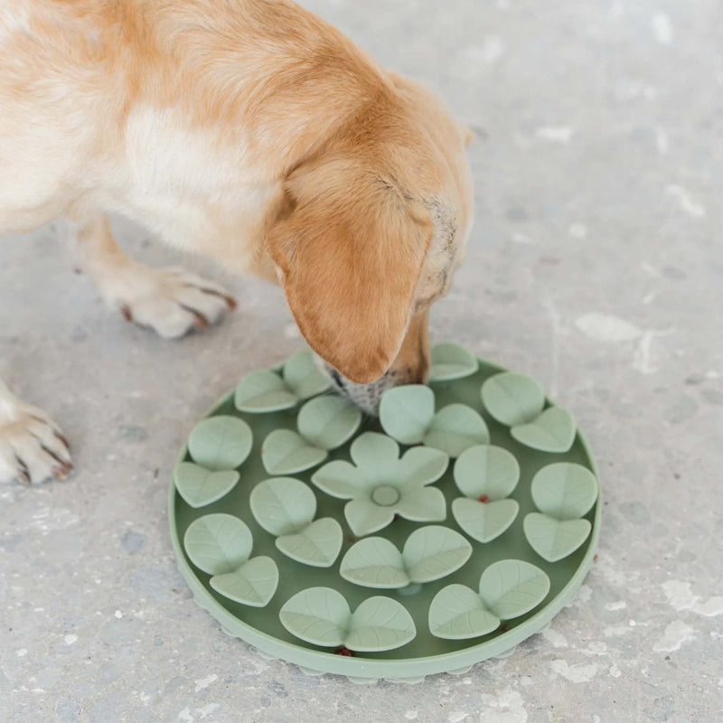 Hide & Seek Silicone Snuffle Dog or Cat Mat
