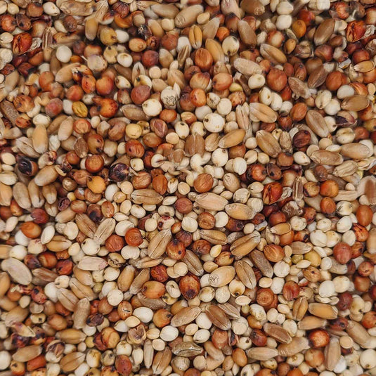 Dove Seed Mix 🍁