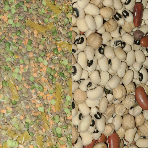 Exotic Wings Dry Protein Mix for Birds 1 kg - Made by Lisa