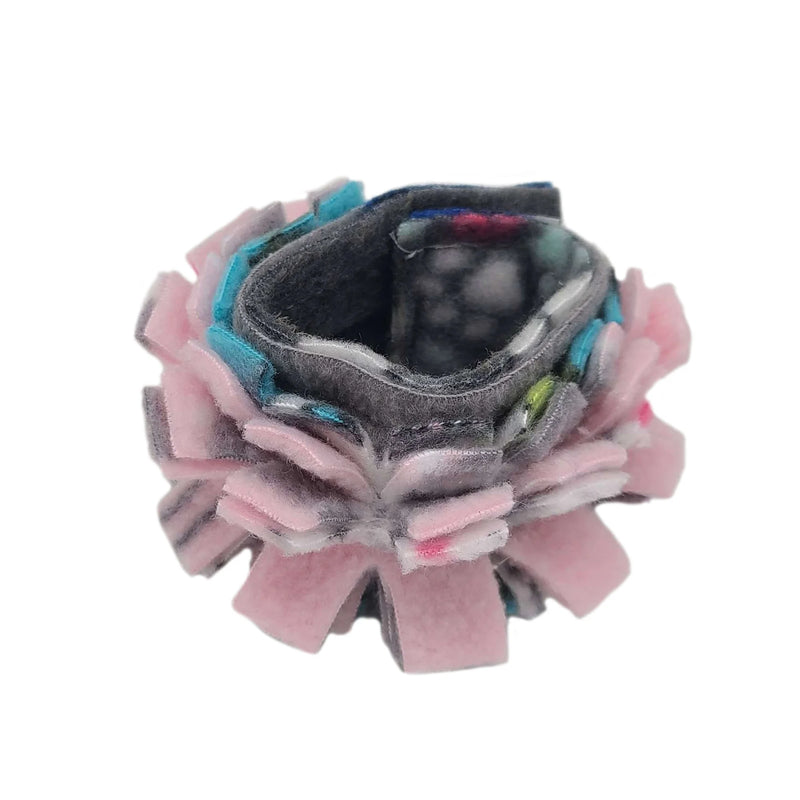 Load image into Gallery viewer, Exotic Wings Preening Collar - Medium
